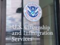 USCIS Extends the Grace Periods for Form I-914 and Form I-918 Supplement B